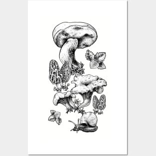 Mushrooms Posters and Art